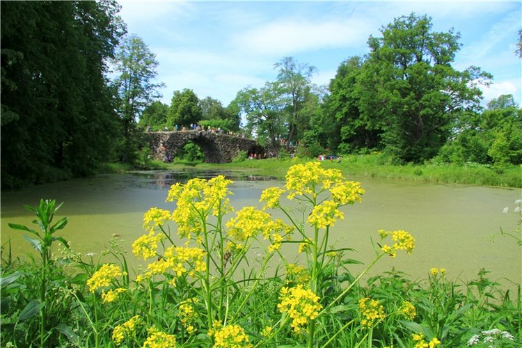 "Троицкие гуляния" в Василёво, 2018 год. Архитектурно-этнографический музей под открытым небом Василёво