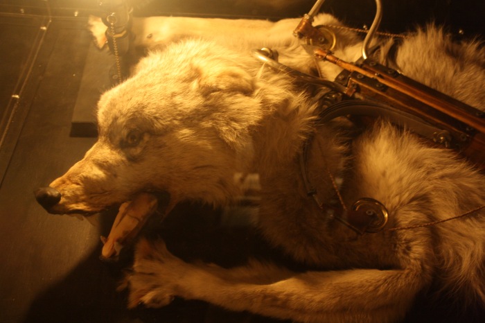 Петербург. Музей НЕправды (18+). Часть 2 (фото 5)