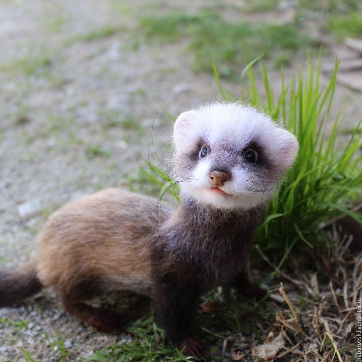 Ожившие зверушки, реализм и эстетика