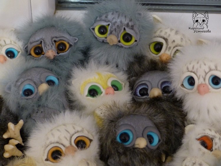 Совята в ожидании Новогодних праздников