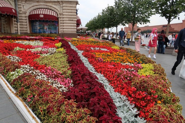 Знакомьтесь, новый вид медведей - медведь сумочный