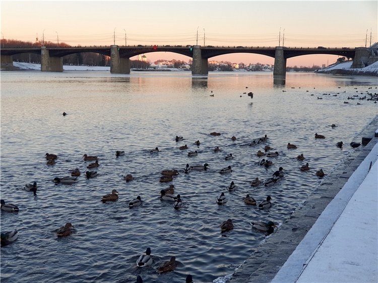 Декабрьская Тверь — Туризм и путешествия: фотоотчеты из поездок