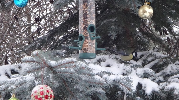 Счастье есть! Продолжение