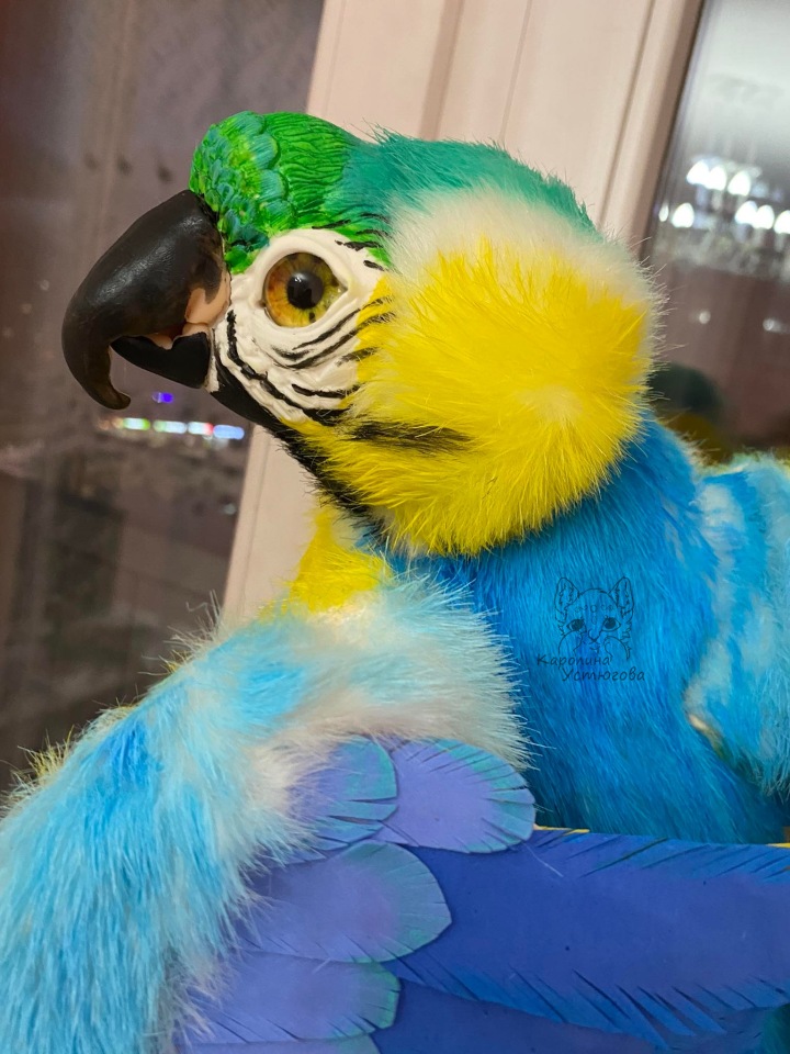 Попугай Ара. Желто-голубой (фото 4)