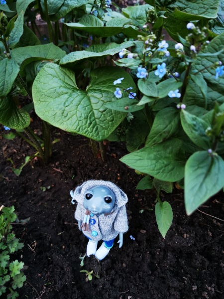 Лягушка Ванда и все-все-все (фото 9)