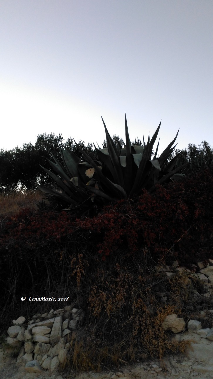 Kidz' тур. Нико на Крите. Аниссарас