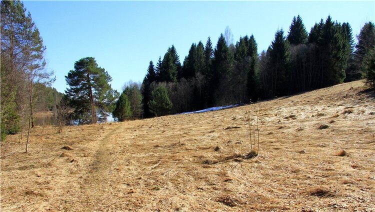 Апрельский день в Василёво, третья часть
