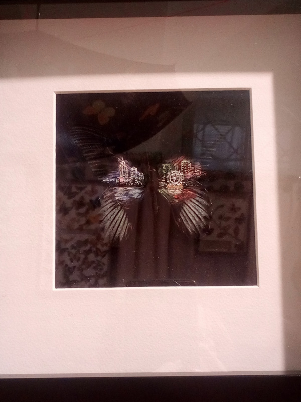 Живые цветы — Болталка и разговоры обо всем: жизнь (фото 10)