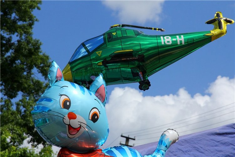 Я ехал к Вам! Пушкинский праздник в Берново, 2018 год (фото 4)