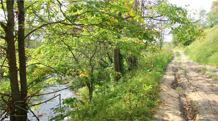 Старицкая Швейцария. Путешествие с Сашей, продолжение. Уникальная кукла от Сильвии Наттерер