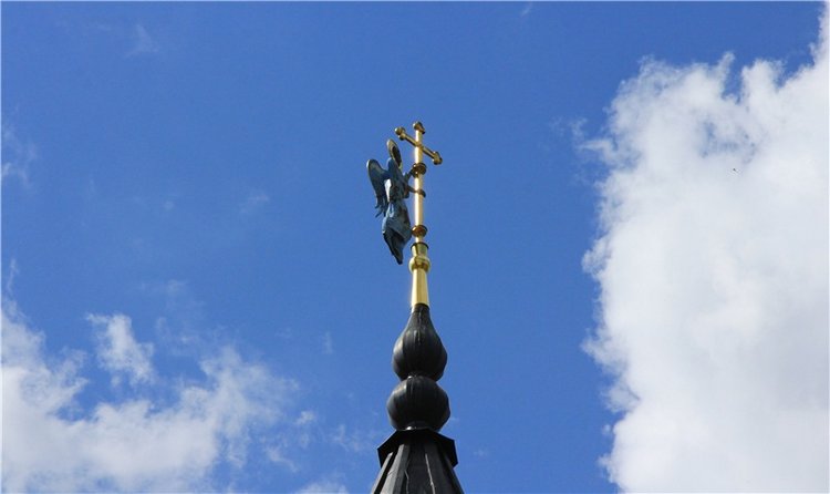 Августовская прогулка в Берново. Zwergnase Mischa