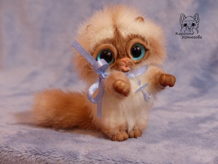 Сиамский котеночек-ребеночек (фото 5)