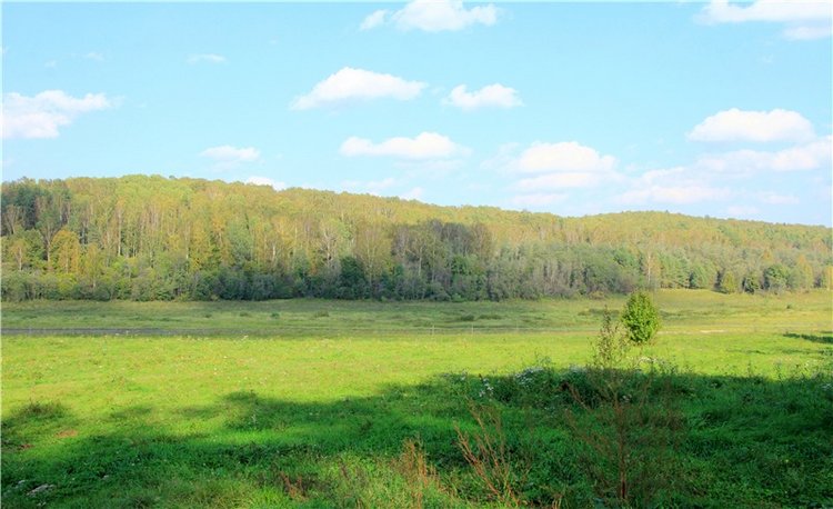 Нийя. Воспоминание об осени, Чукавино, Эко-Лэнд