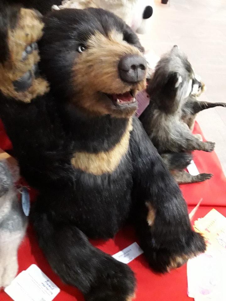 Искусство Куклы. Гостиный двор 2018. Выставку моими глазами