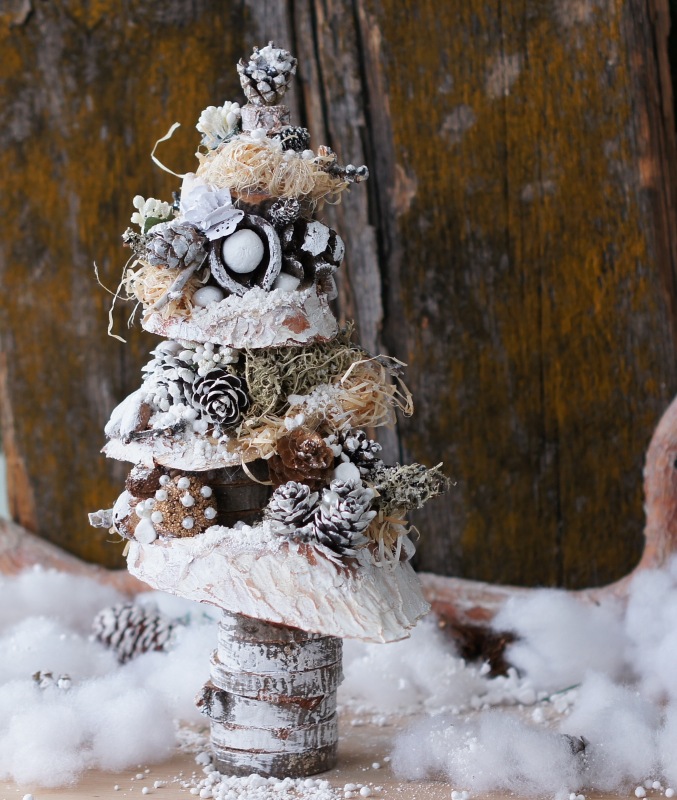 Елочка — Другие хобби и увлечения: сад (фото 3)