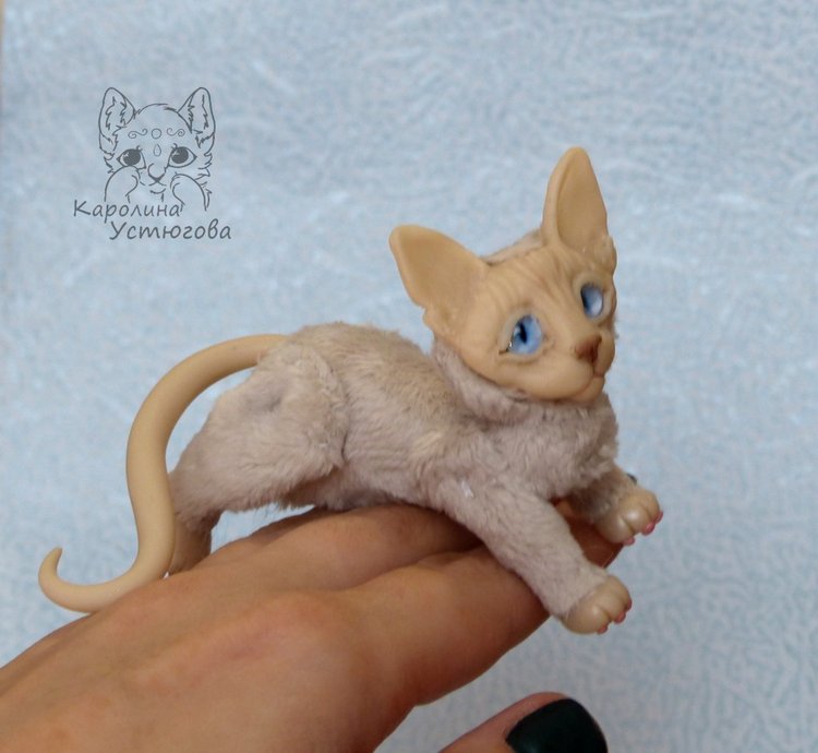 Два миниатюрных котика Сфинкса (фото 6)