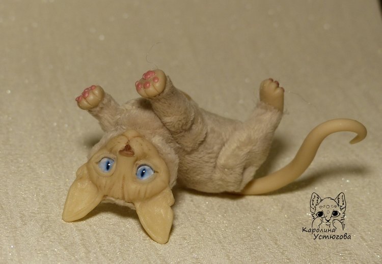 Два миниатюрных котика Сфинкса