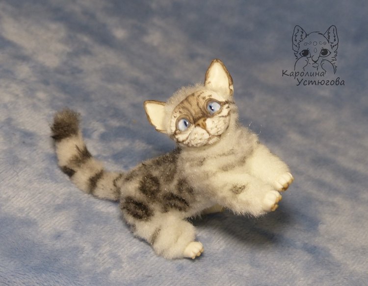 Бенгальская кошка, серебристая (фото 5)