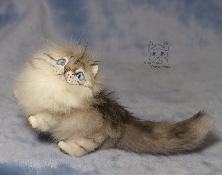 Котята Невские маскарадные, окрас Тэбби пойнт