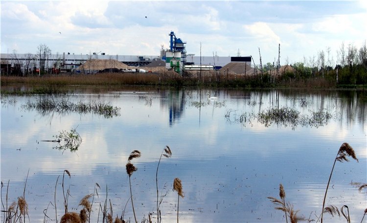 "Лебединое озеро" в Твери (фото 7)