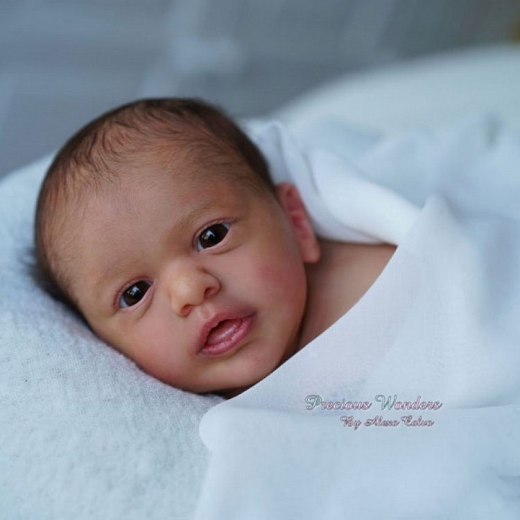 Новый молд Aleyna Скульптор Gudrun Legler (фото 2)