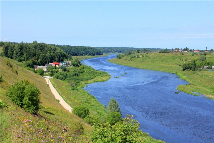 Подарок для Бенни | Бэйбики Подарок для Бенни — Куклы Iplehouse (Иплхаус): BJD (БЖД)