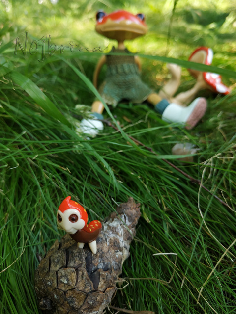 Wonderfrog. Красота в простоте