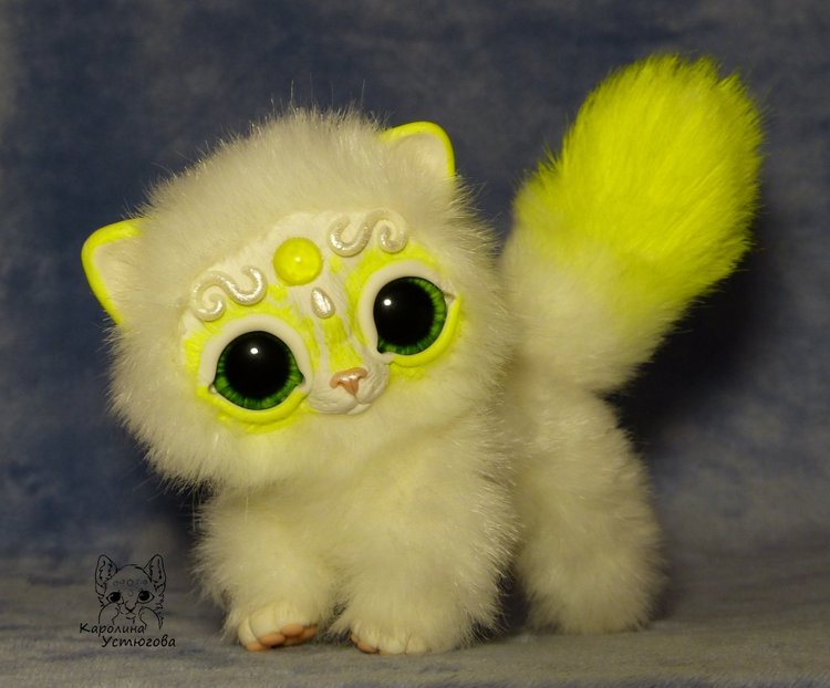 Королевские волшебные коты, породы: Мирис. В кадре и за кадром. Процесс