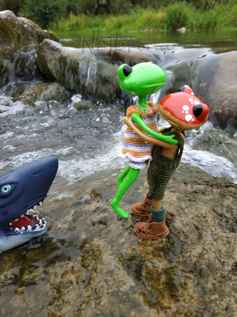 Wonderfrog. Красота в простоте. Часть 3