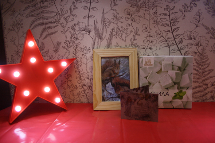 Анонимный дед Мороз 2019 — Новости конкурсов: план на год (фото 3)