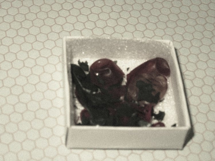 Грустный топик о доме Грелль (фото 6)