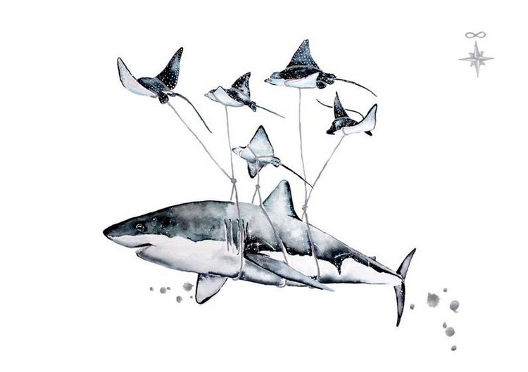 BrigitteMayArt - Иллюстрированная флора и фауна by Brigitte May