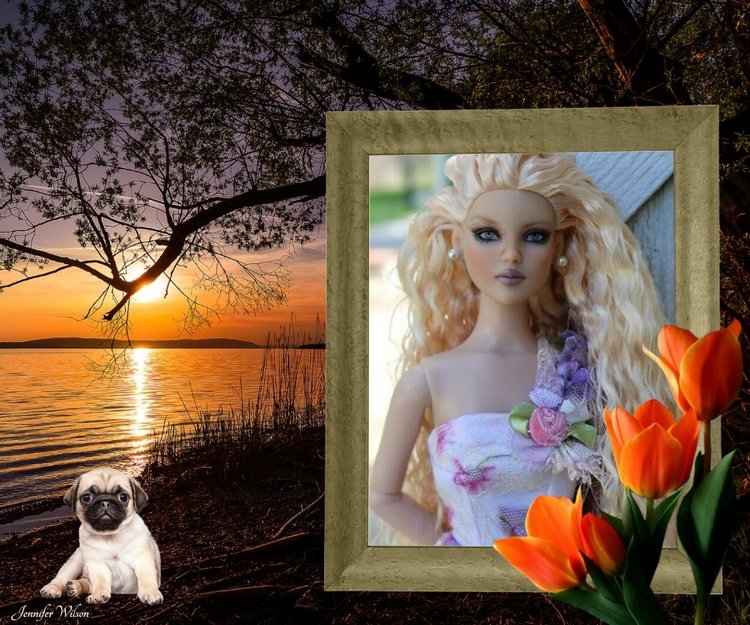 Мои Тоннерки. Фотозарисовки