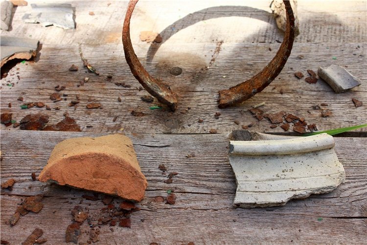 Тайны Древней Старицы — Культура