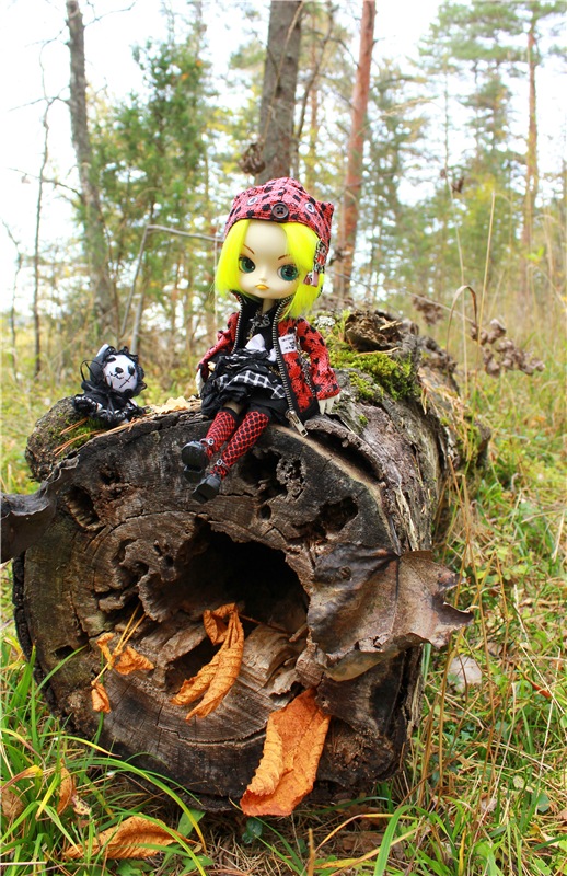 Dal Hangry на Волге — Куклы Pullip (Пуллип) (фото 4)