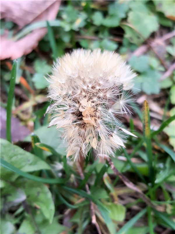 Путешествие по Святым местам Тверской области, продолжение