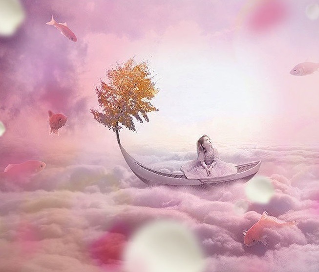 Розовая мечта или реальность