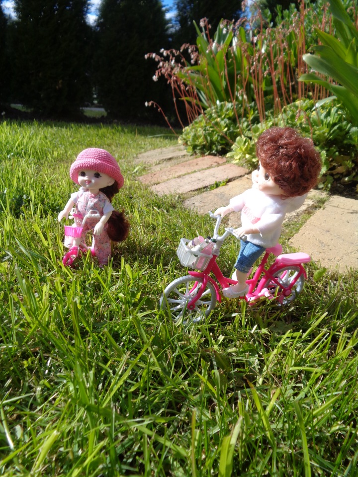 Любимки в деревне — Куклы Baboliy (Баболи (фото 7)