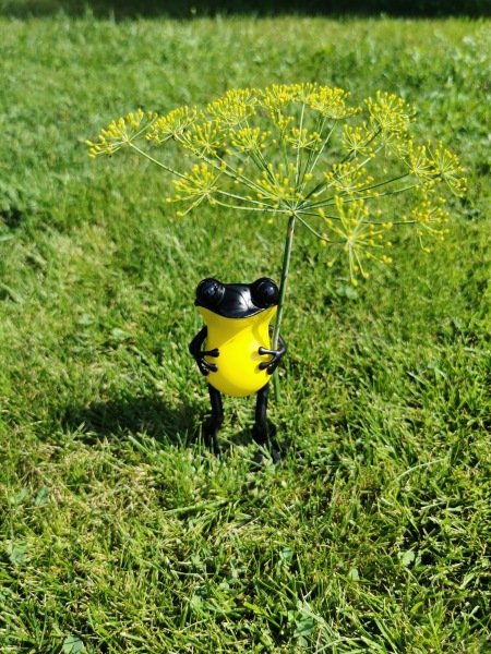 Лягушки Apo Frog от Twelvedot