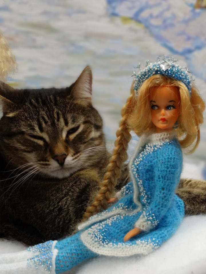 Кото-фото — В мире животных: смешные фото питомцев и зверей (фото 9)