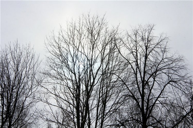 Снежный Март — Туризм и путешествия: фотоотчеты из поездок