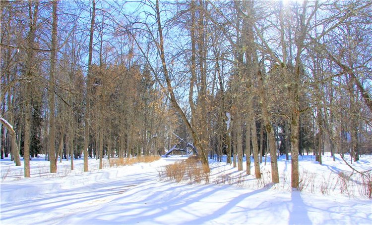 Снежный Март — Туризм и путешествия: фотоотчеты из поездок