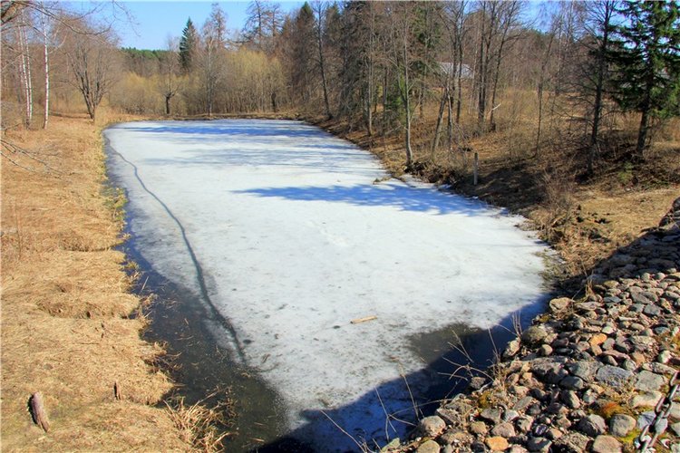 Апрельский день в Василёво, заключительная часть