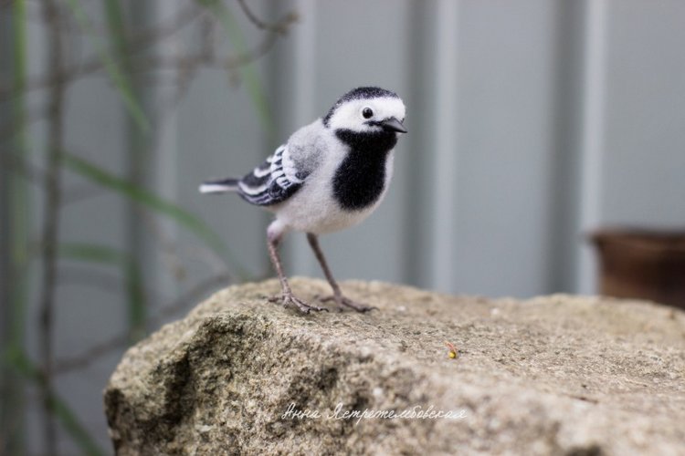 Белая трясогузка — Валяные игрушки из шерсти: сухое валяние (фото 9)