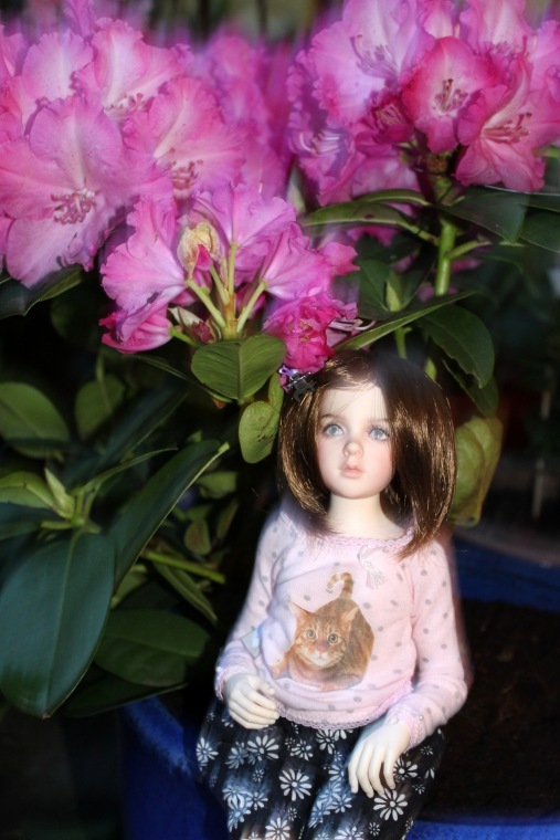 Вечерний сад. Розочка в пижамке (фото 4)