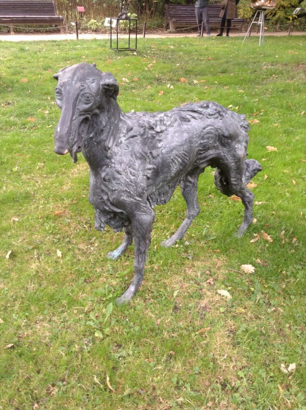 Аптекарский огород сегодня. ч.5. Грибной фестиваль