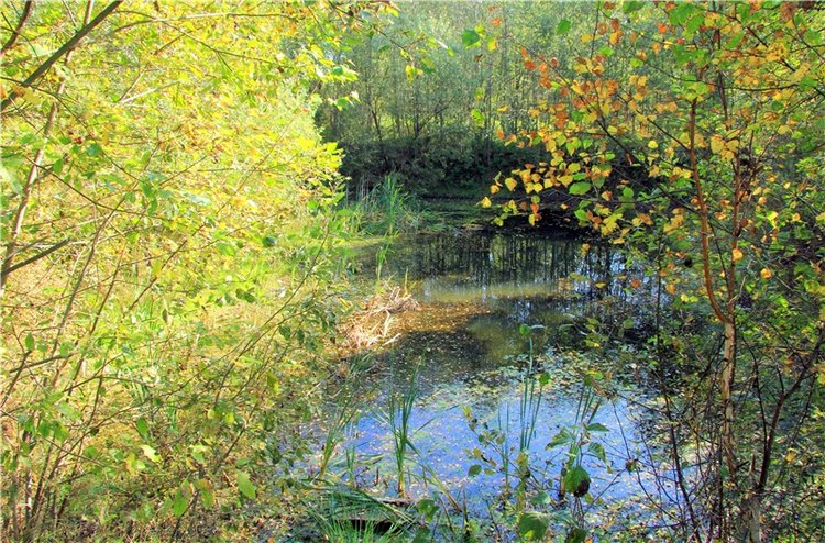 Путешествие Адель в "Сад камней". Джульетта от Sylvia Natterer