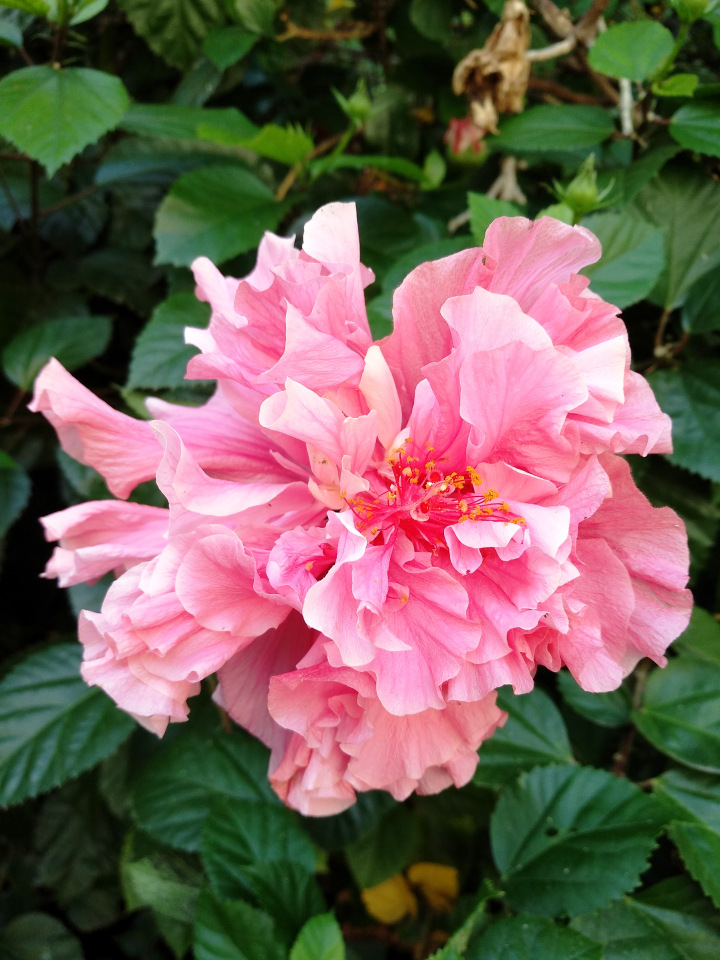 Тайна моего имени. Часть девятая. Испания, Бенальмадена, Парк Тиволи. Лесли путает все планы