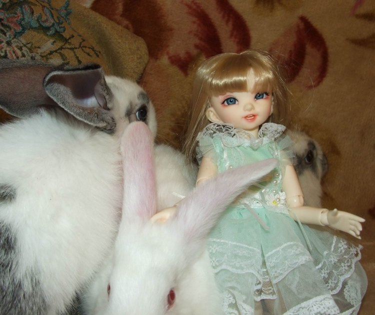 История Алиски 2 - Пасхальная, с белыми кроликами) | Бэйбики История Алиски 2 - Пасхальная, с белыми кроликами) (фото 7)