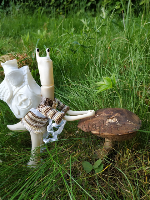 Wonderfrog. Красота в простоте